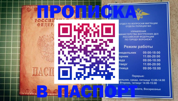 прописка гарантия в Елабуге